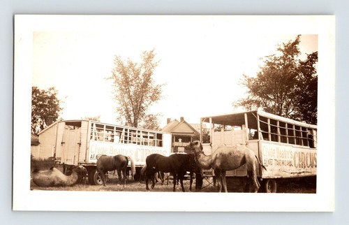 Vintage photo clyde beatty - photo,
