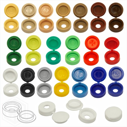 Colour small plastic hinged - colour,