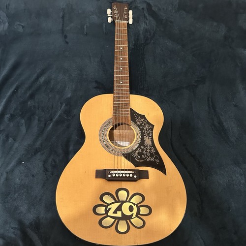 Acoustic guitar mid 1960 - acoustic, 1960’s