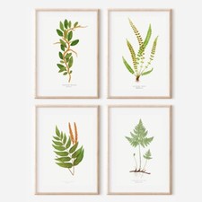 Set of 4 Antique￼ Repro￼