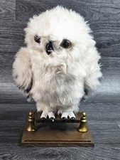 Harry Potter, Enchanting