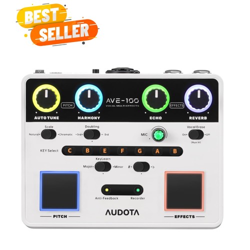 Ave 100 vocal effects - ave-100,