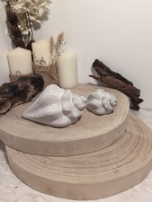 Set Of Two Ceramic Shell Ornaments