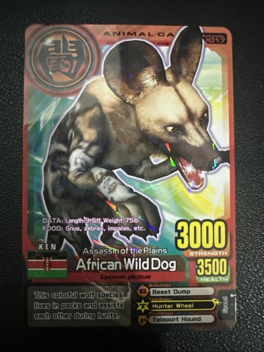 Animal kaiser plus version - kaiser, 2