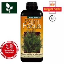Growth technology palm focus - technology,
