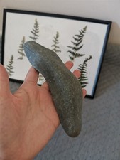 Beach Stone  Polished by