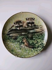 Want To Play Racoon Decorative