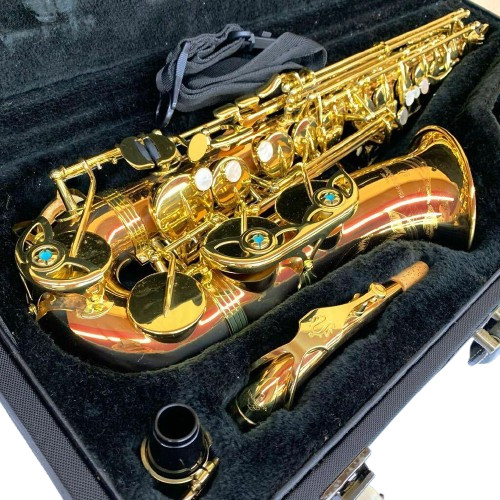 Yanagisawa 901 alto - yanagisawa,