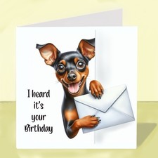 Miniature Pinscher Dog