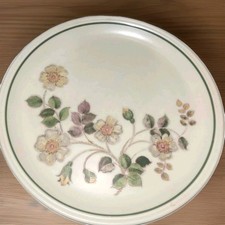4x AUTUMN LEAVES DINNER PLATES