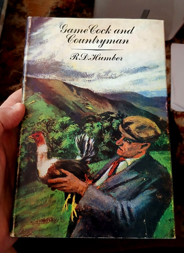 Game cock and countryman - game, by