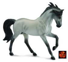 Andalusian Grey Stallion Horse