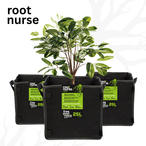 Root nurse square fabric pots - fabric,