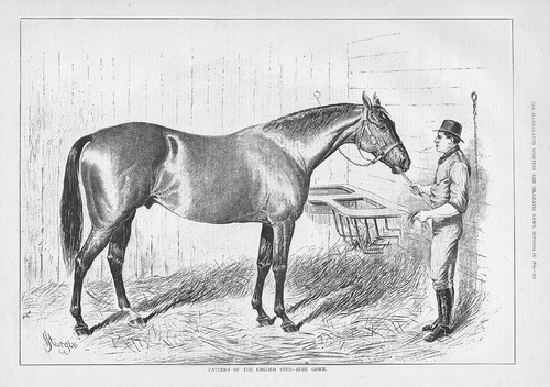 Horses fathers the english - of,