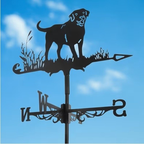 Labrador weather vane - weather, –