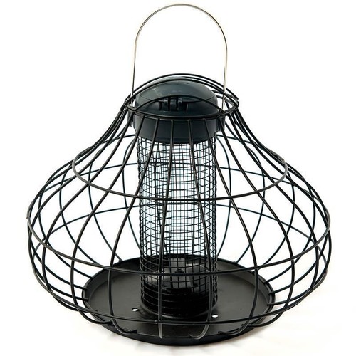 Squirrel resistant peanut - squirrel,