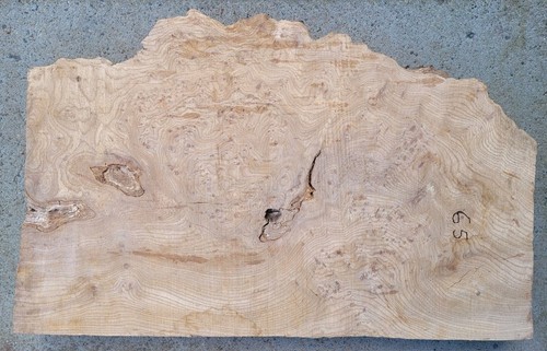 Timber scottish burr elm blank - timber,
