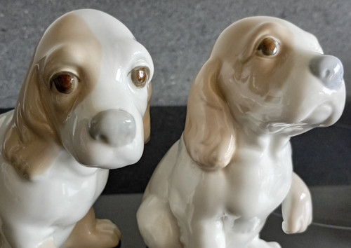 Pair rare valencia - of,