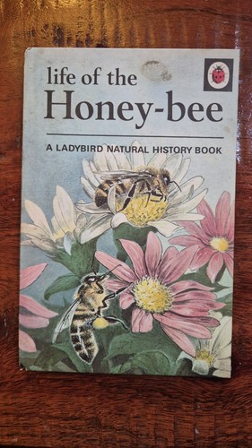 Vintage ladybird book life - vintage,