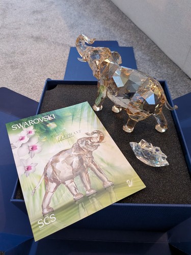 Swarovski scs 2013 cinta - scs,