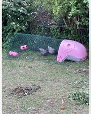 I’m Omlet Eglu Classic  Pink