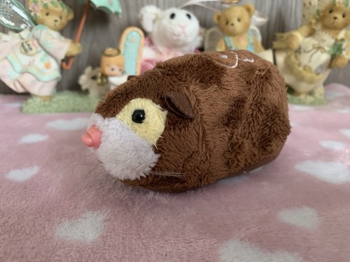 Zhu pets - pets,