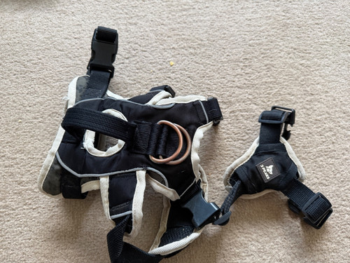 Peaks excursion ultra dog - 3,