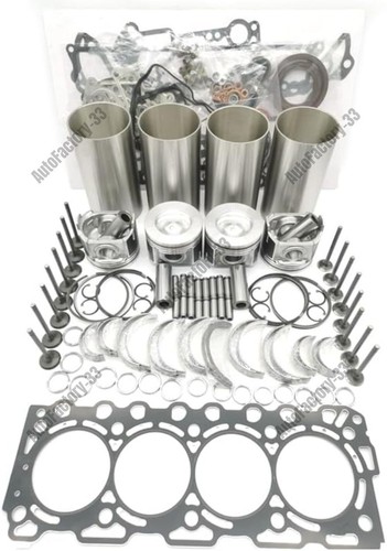 Overhaul rebuild kit for isuzu - overhaul,