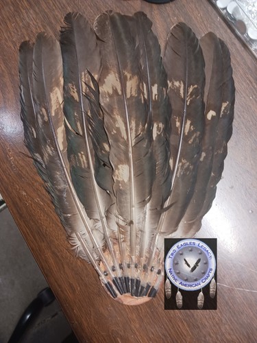 Native american roach eagle - native,