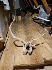 Bogwood for Aquarium Decoration Fish Tank Ornament  accessory  terrarium 