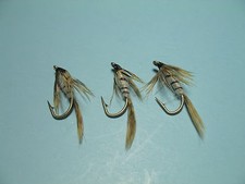 Mayfly nymph trout flies - trout,