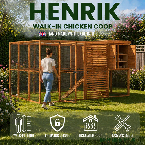 Henrik walk chicken coop - chicken,
