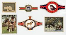 SIBERIAN HUSKY VINTAGE DOG COLLECTIBLE CARDS AND BANDS