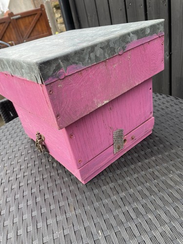 Queen rearing mini hive - queen,