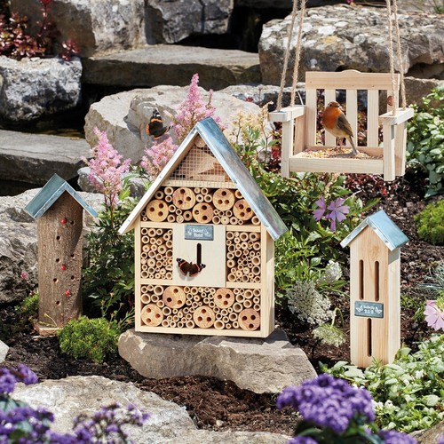 Garden life insect - garden, house