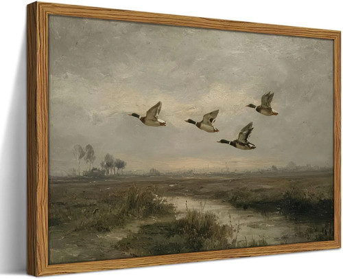 Framed vintage mallard duck - framed,