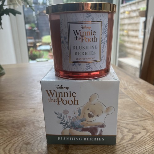 Disney winnie the pooh - disney,
