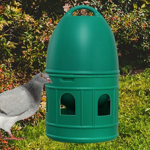 Pet drinker pigeons birds - pet,