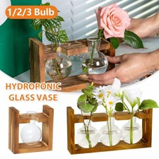 Hydroponic 3 Bulbs Glass Vase