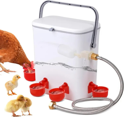Large chicken water drinkers - chicken,
