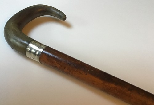 Antique rams horn walking - antique,