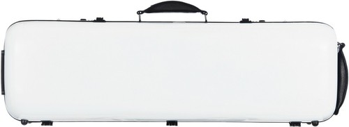 Fiberglass violin case safe - uk,