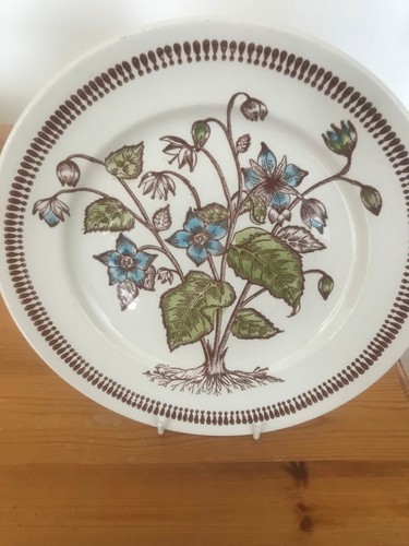 Kathie winkle dinner plates - dinner,