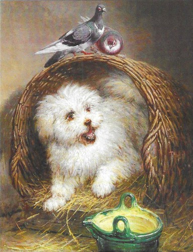 New dogs postcard - dogs, art