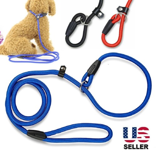 Durable nylon slip lead - durable, dog
