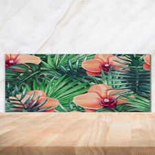 Kitchen Glass Splashback