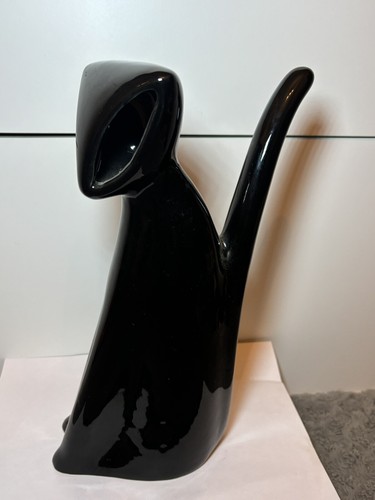 Very unusual black cat - very,