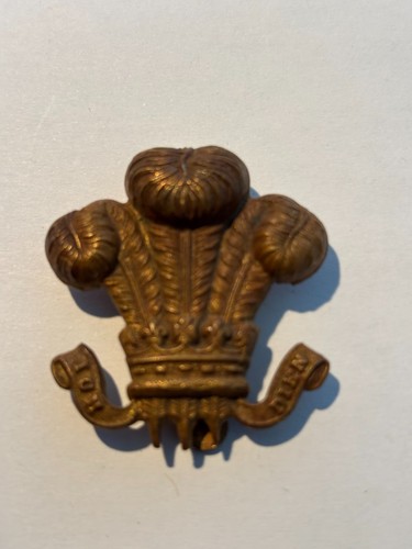 Prince wales feathers arm - wales,