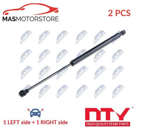 Tailgate boot struts set - tailgate, nty