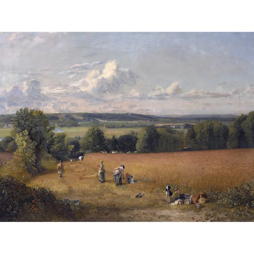 Constable the wheat field 1816 - field,